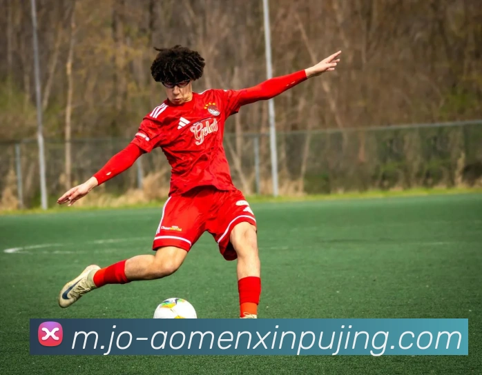 多媒体互动体验